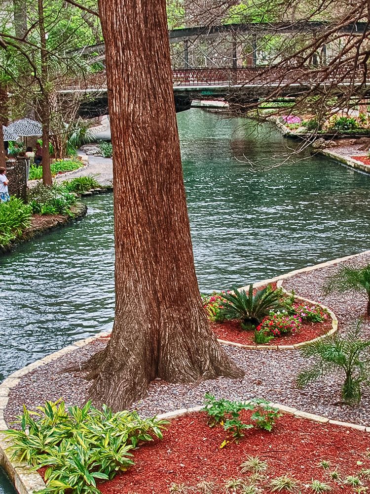 River Walk